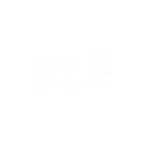BSG Consulting